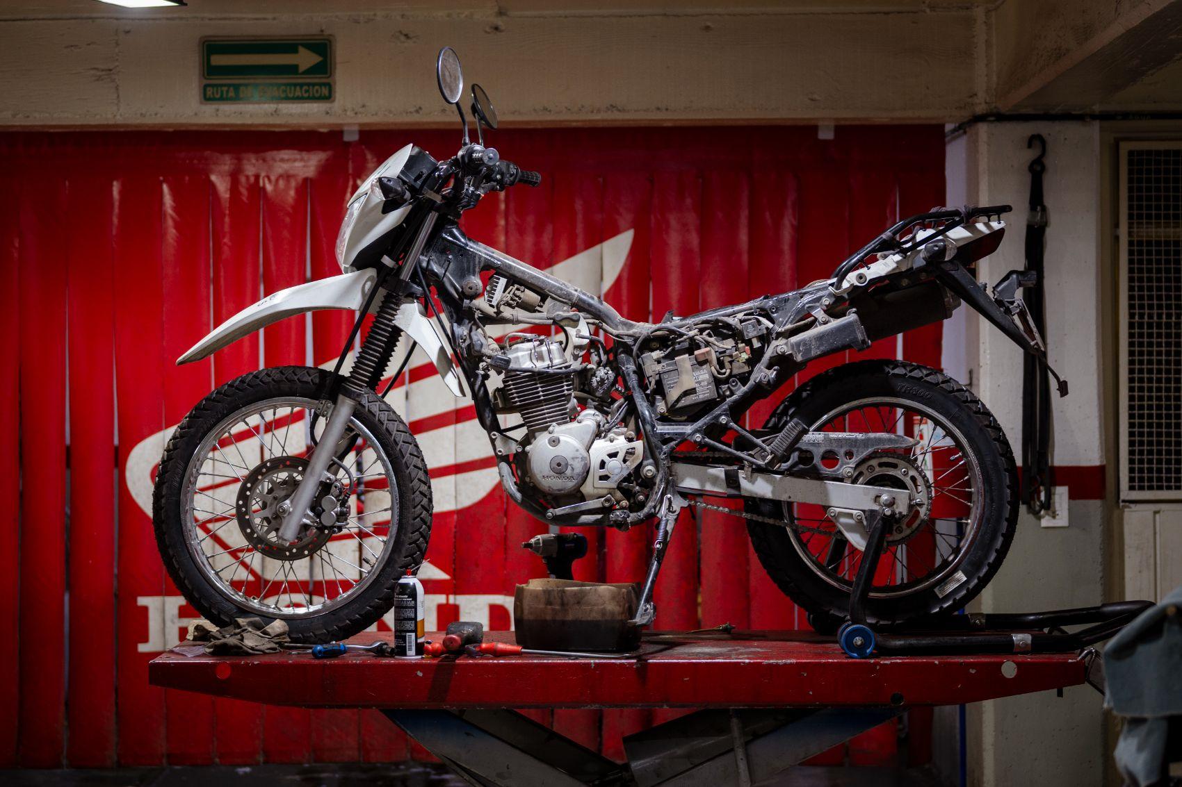 gallery-principal-22