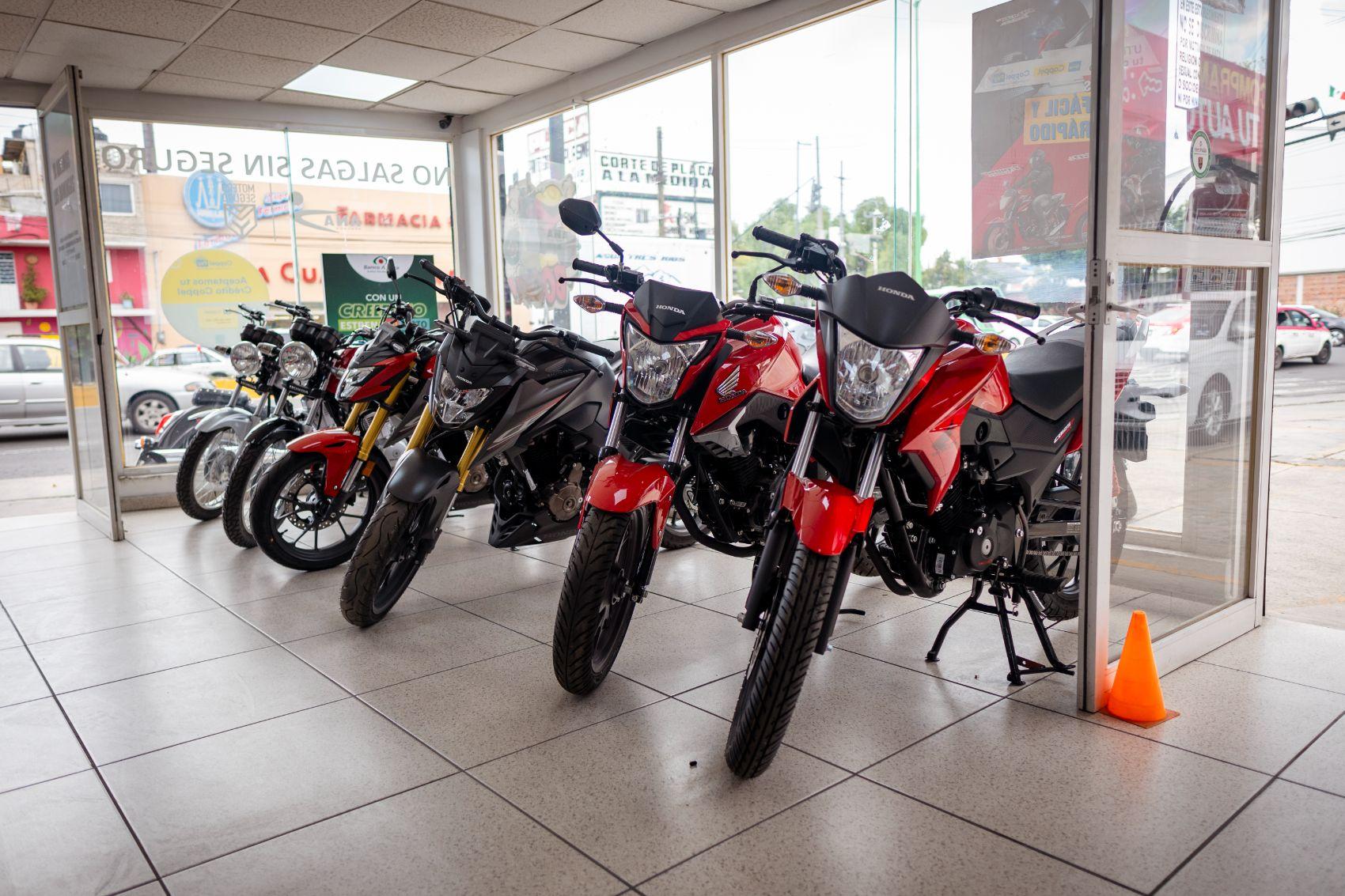 gallery-principal-24